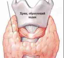 Tabelul tiroidian limite normale la femei