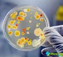 Așa cum se arată Staphylococcus aureus: care sunt simptomele?