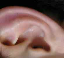 Îmbunătățirea auzului. remedii populare.
