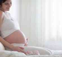 Ureaplasma în timpul sarcinii: implicații pentru copil și cum să le evite
