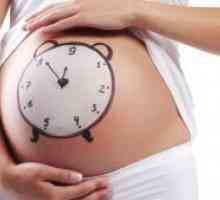 Nivelurile HCG in timpul sarcinii de zi: norma și abaterea de la normă