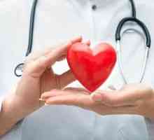 Cu ultrasunete a inimii - Transcrierea: norma si patologie