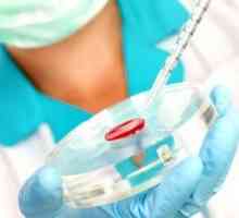 Tipuri de hemoglobina, diagnosticare si rezultatele decodificare ale studiului
