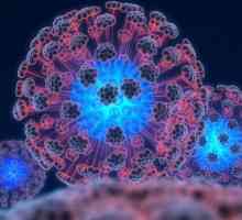 Virusul papiloma uman: tratamentul și prevenirea