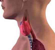Toate hipotiroidism subclinic