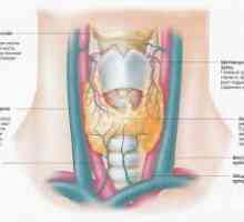 Toate hipotiroidism congenital