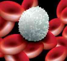 Ce face celulele albe din sânge și ceea ce a determinat modificarea nivelului lor în sânge?