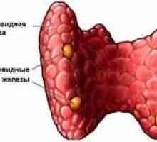 Boala a hiperparatiroidismul sistemului endocrin, simptome și tratament