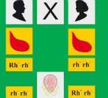 Legile moștenirii în funcție de grupa de sange si Rh factor