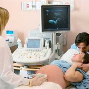 22 De săptămâni de sarcină - începutul perioadei perinatale