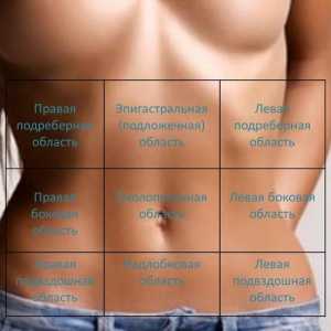 Algoritmul de palparea abdominale