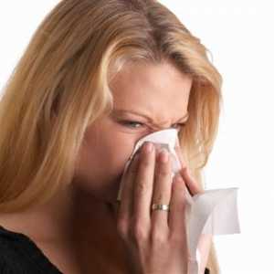 Rinita alergica, febra fânului