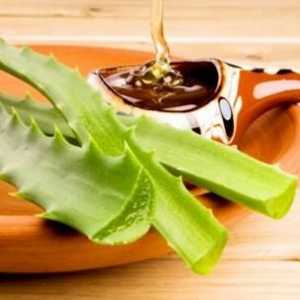 Aloe cu miere este util de două ori! Tratate cu medicamente, par ei