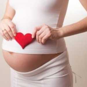 Un test de sânge pentru a determina sarcina: pregătirea și decodare