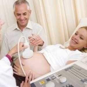 Ecografia Doppler în timpul sarcinii - ceea ce este, procedura de pregătire și examinare