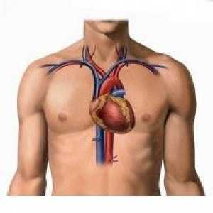 Ateroscleroza aortică și a vaselor cardiace (coronariene): origine, pentru a trata