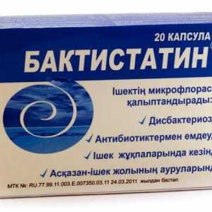 Manualul de instrucțiuni Baktistatin