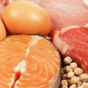 Proteina din alimente, rolul de proteine ​​din corpul nostru