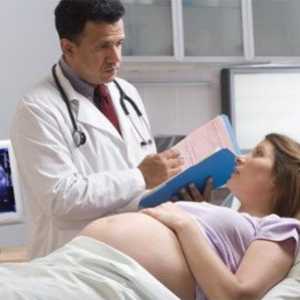 Sarcina: dezvoltarea sarcinii