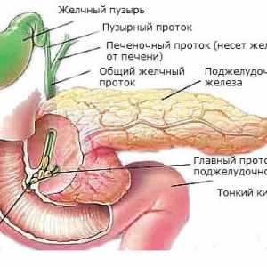 Ce să facă în caz de insuficiență a pancreasului?