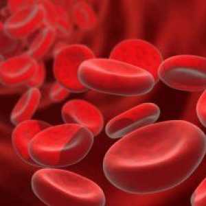 Ce inseamna „celulele rosii din sange intr-un test de sange?“