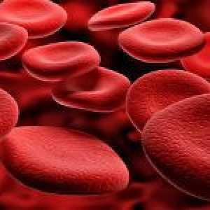 Ce este sângele haemoscanning și ceea ce este utilizat?