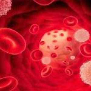 Motivele pentru declinul neutrofilelor din sânge și metode de corectare