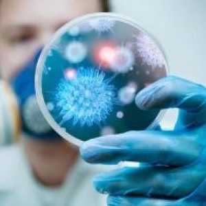 Infecție cu citomegalovirus - rata de anti-lgG și pericolul CMV virusului