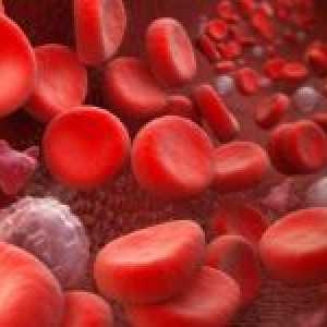 Sângele hematocritului în condiții normale și motivele schimbării sale