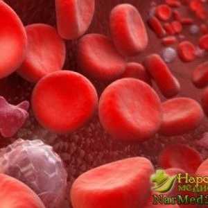 Hematologie avertizează cum manifestă și tratate trombocitopenie
