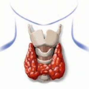 Hipotiroidismul - un criminal lent și insidios