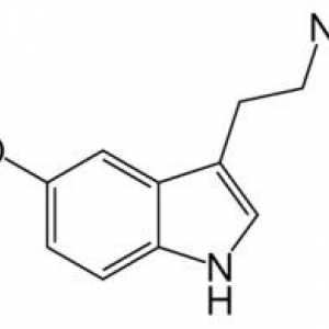 Hormonul serotonină