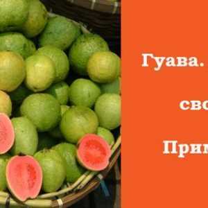 Guava și proprietățile sale benefice