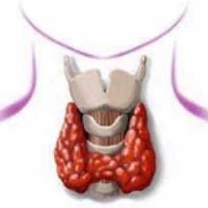 Simptomele caracteristice ale bolii tiroidiene la femei