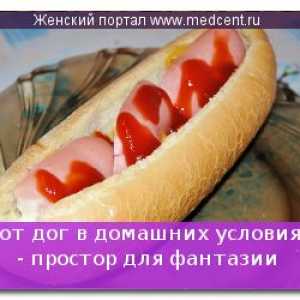 Hot dog în casă - cameră pentru imaginație
