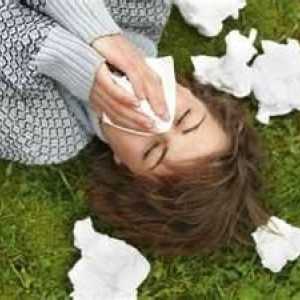 Cum de a trata remedii populare alergie de sezon?