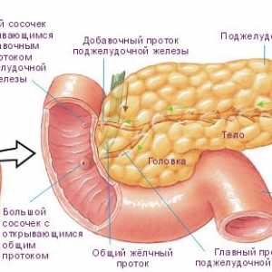 Simptomatologia boli ale pancreasului la femei