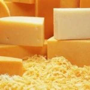 Cum cel mai bine pentru a găti brânză
