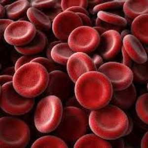 Cum de a crește trombocitele din sânge?