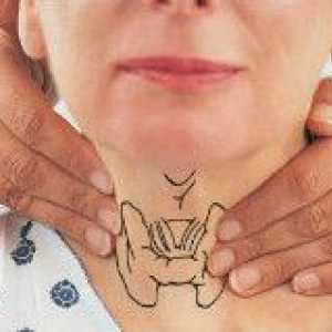 Cum să efectueze palparea glandei tiroide