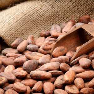 Cacao. Avantaje și prejudicii