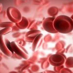 Ce indicatori în limfocitele sanguine la femei considerate normale? Limfocitoza și limfopenie.