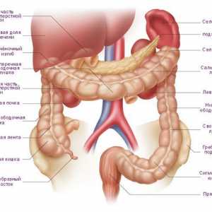 Simptomele si tratamentul cancerului de colon