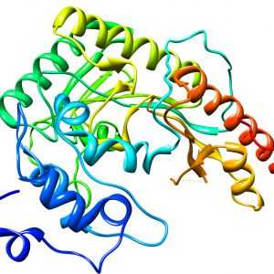 CK (creatin kinază, creatin fosfokinazei) în sânge: adică provoacă ridicarea enzimei.