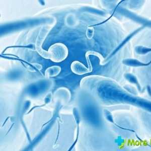 Cum de a crește motilitatea spermatozoizilor: tehnicile de bază
