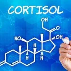 Cortizolul în sânge: diagnosticul și rata de hormon