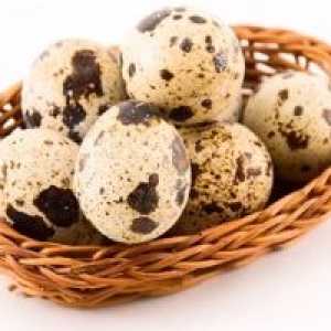 Proprietăți medicinale de oua de prepelita. Fount mineralelor utile