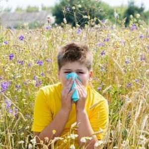 Tratamentul și prevenirea rinitei alergice