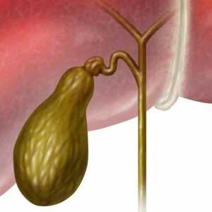 Giardia in vezica biliara - simptome si tratament