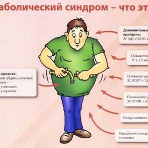 Sindromul metabolic (sindromul X)